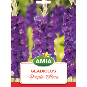 Bulbi gladiole Purple Flora, calibru 12/14, 7 bucati, AMIA
